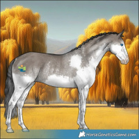 Horse Color:Grullo Sabino Splash Rabicano 