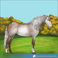 Horse Color:Gray Silver Black Pearl Tobiano Rabicano