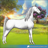 Horse Color:Gray Silver Classic Champagne Pearl Tobiano 