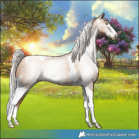 Horse Color:Gray Silver Classic Champagne Pearl Tobiano 