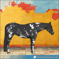 Horse Color:White Spotted Black