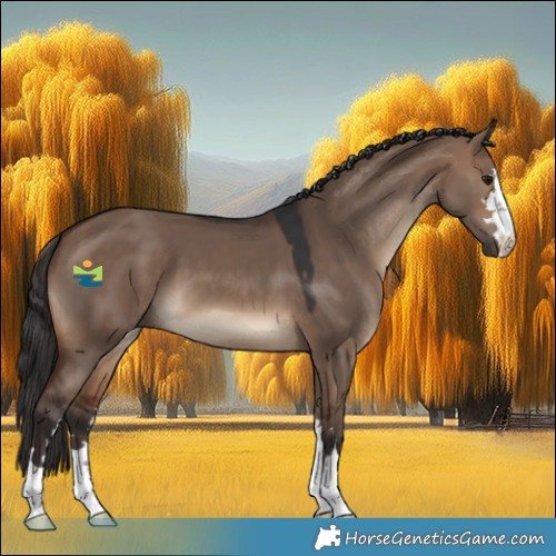Horse Color:Brown Dun 