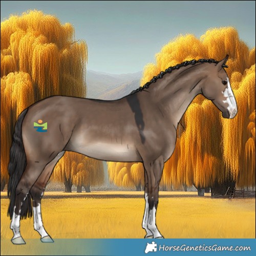 Horse Color:Brown Dun 