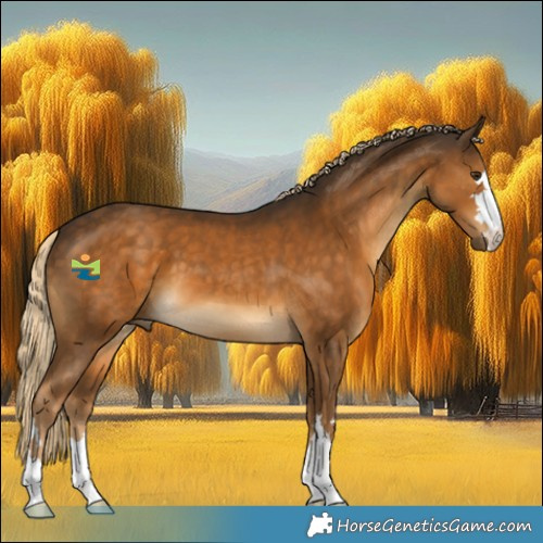 Horse Color:Chocolate Palomino 