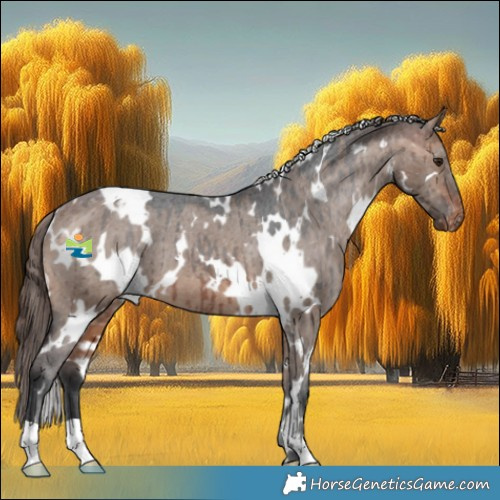 Horse Color:White Spotted Bay Dun Appaloosa Brindle 