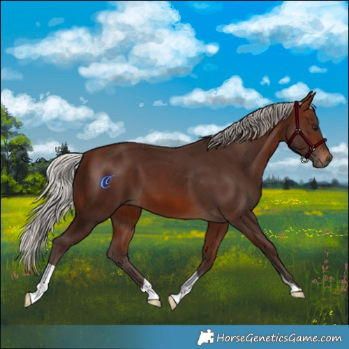 Horse Color:Silver Brown 