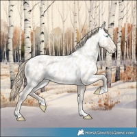 Horse Color:Smoky Creme Roan Dun Near Leopard