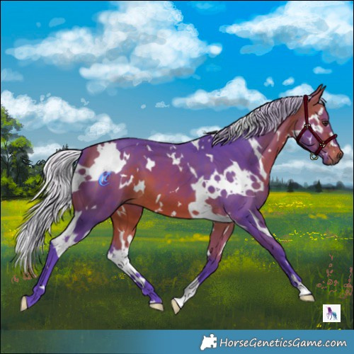 Horse Color:Watercolor White Spotted Silver Bay 