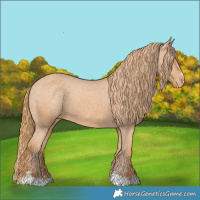 Horse Color:Chestnut Varnish 