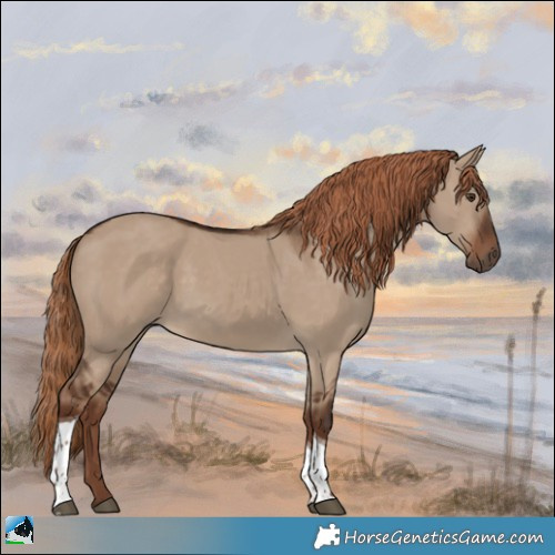 Horse Color:Liver Red Dun Tobiano 