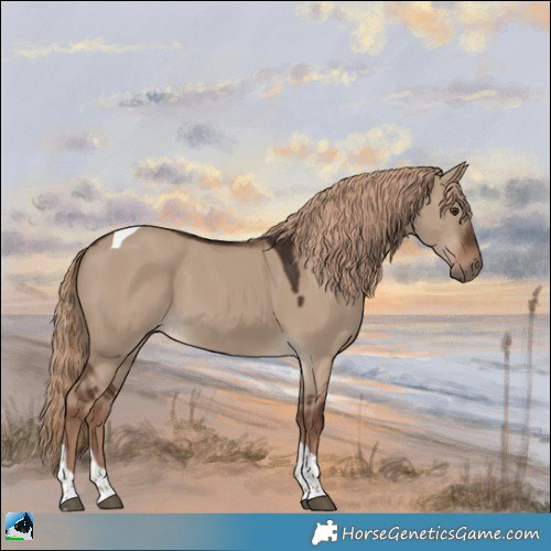 Horse Color:Liver Red Dun Tobiano