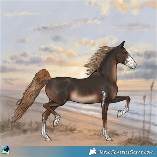 Horse Color:Liver Chestnut Sabino Rabicano