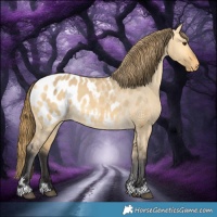 Horse Color:Buckskin Dun Blanket 