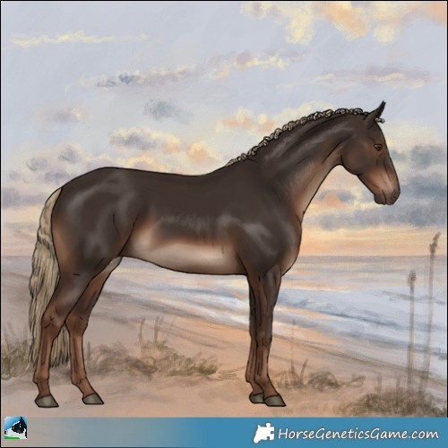 Horse Color:Liver Chestnut Rabicano 