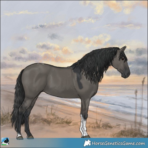 Horse Color:Grullo Tobiano 