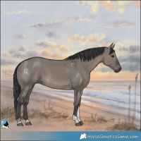 Horse Color:Grullo Tobiano Rabicano 