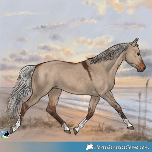 Horse Color:Silver Brown Dun Tobiano 