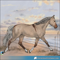 Horse Color:Silver Brown Dun Tobiano 