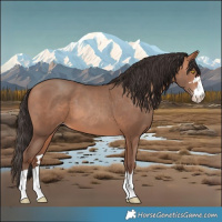 Horse Color:Amber Champagne 