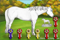 Horse Color:Gray Smoky Black Splash Tobiano 