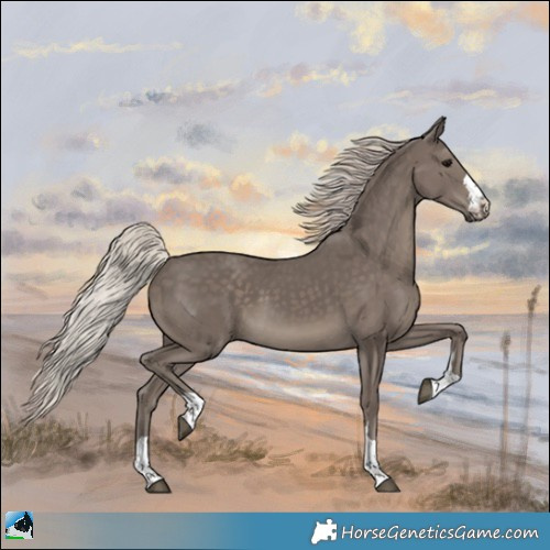 Horse Color:Silver Black Rabicano 