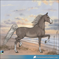 Horse Color:Silver Black Rabicano 