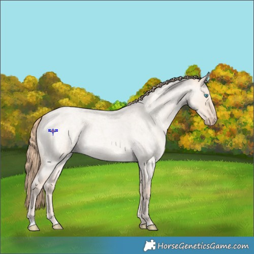 Horse Color:Perlino Roan Dun 