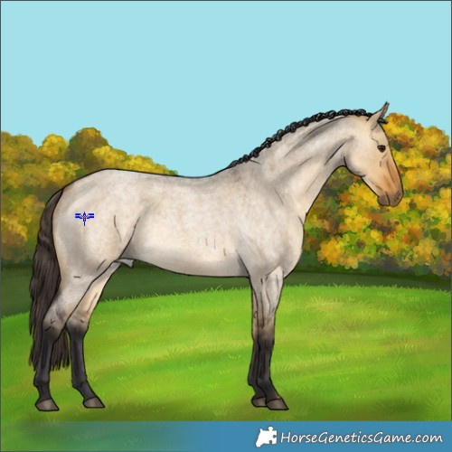 Horse Color:Buckskin Roan Dun 