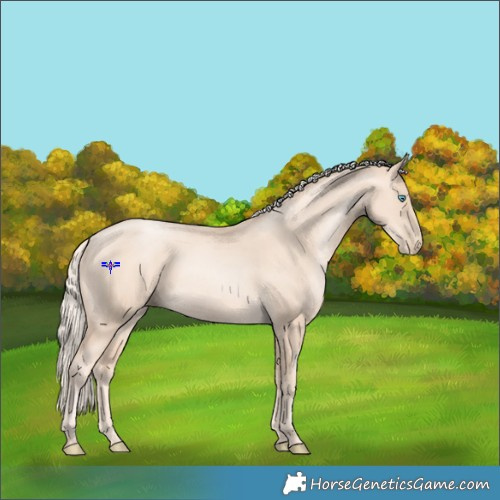 Horse Color:Gold Cream Champagne Pearl 