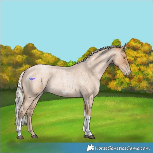 Horse Color:Silver Blue Roan Pearl Tobiano Frame 