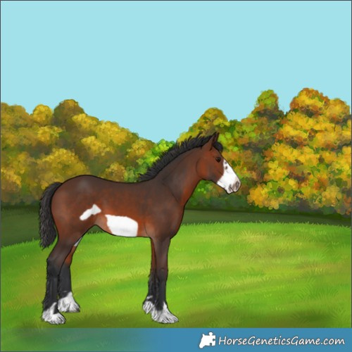 Horse Color:Brown Frame 