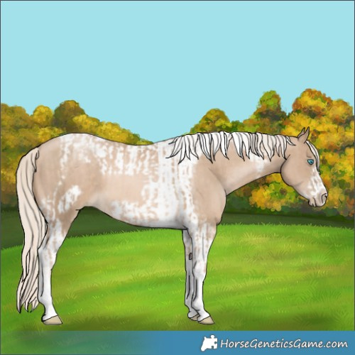 Horse Color:Chocolate Palomino Pearl Tobiano Frame  and Chocolate Palomino Pearl Tobiano Frame 
