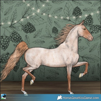 Horse Color:Gold Champagne Roan 