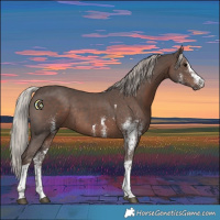 Horse Color:White Spotted Silver Black Tobiano Rabicano
