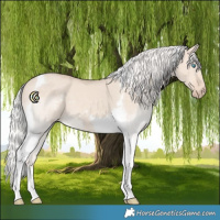 Horse Color:Silver Smoky Creme Dun Tobiano 
