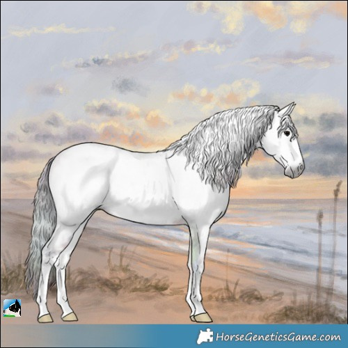 Horse Color:Gray Nacre Brown Ice Roan Onyx Sabino Blanket