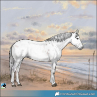 Horse Color:Gray Nacre Bay Ice Onyx Sabino Near Leopard