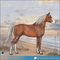 Horse Color:Silver Bay Sabino