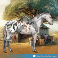 Horse Color:Black Appaloosa  and Liver Red Dun Appaloosa 
