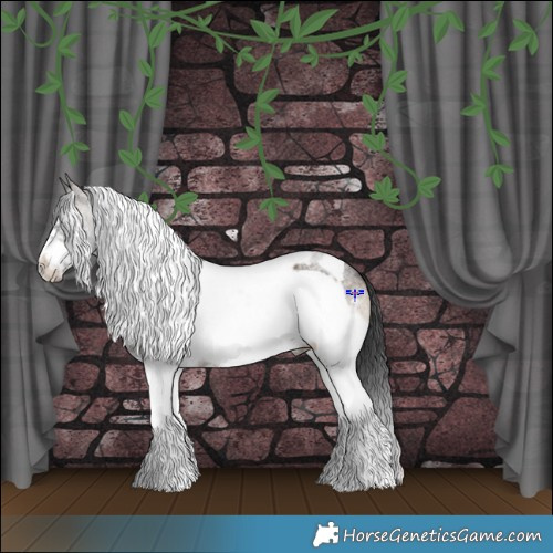 Horse Color:Blue Onyx Sabino Tobiano Frame 