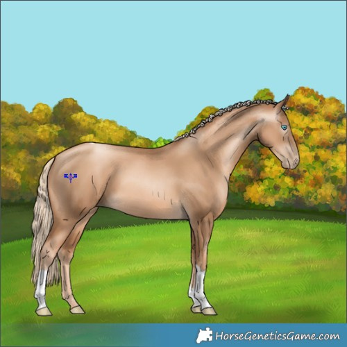 Horse Color:Gray Gold Cream Champagne Pearl Tobiano 