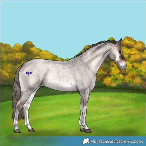 Horse Color:Liver Red Onyx Roan Mushroom 