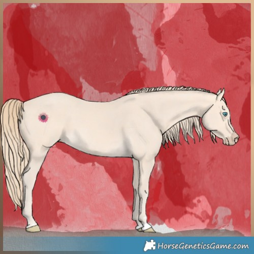 Horse Color:Perlino 