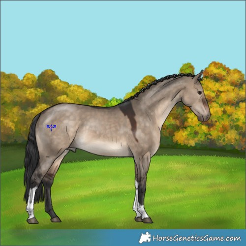Horse Color:Brown Dun Tobiano 