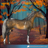 Horse Color:Silver Buckskin Tobiano 