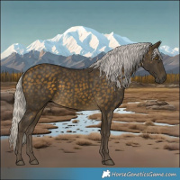Horse Color:Silver Buckskin 
