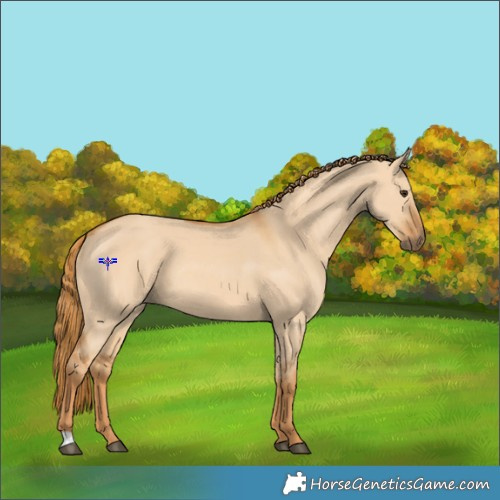 Horse Color:Red Dun 