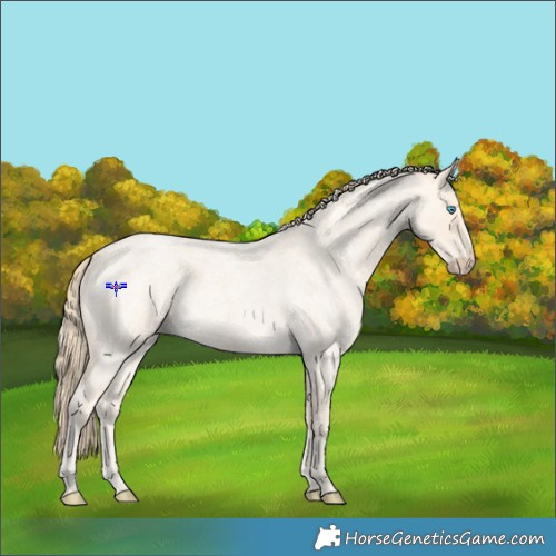 Horse Color:Perlino Roan 