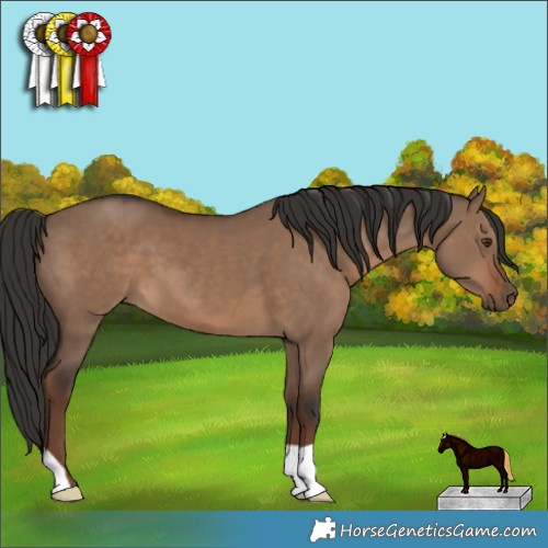 Horse Color:Liver Red Dun 