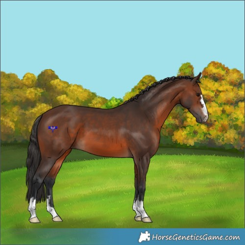 Horse Color:Brown 